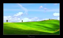toscana - spring time.jpg